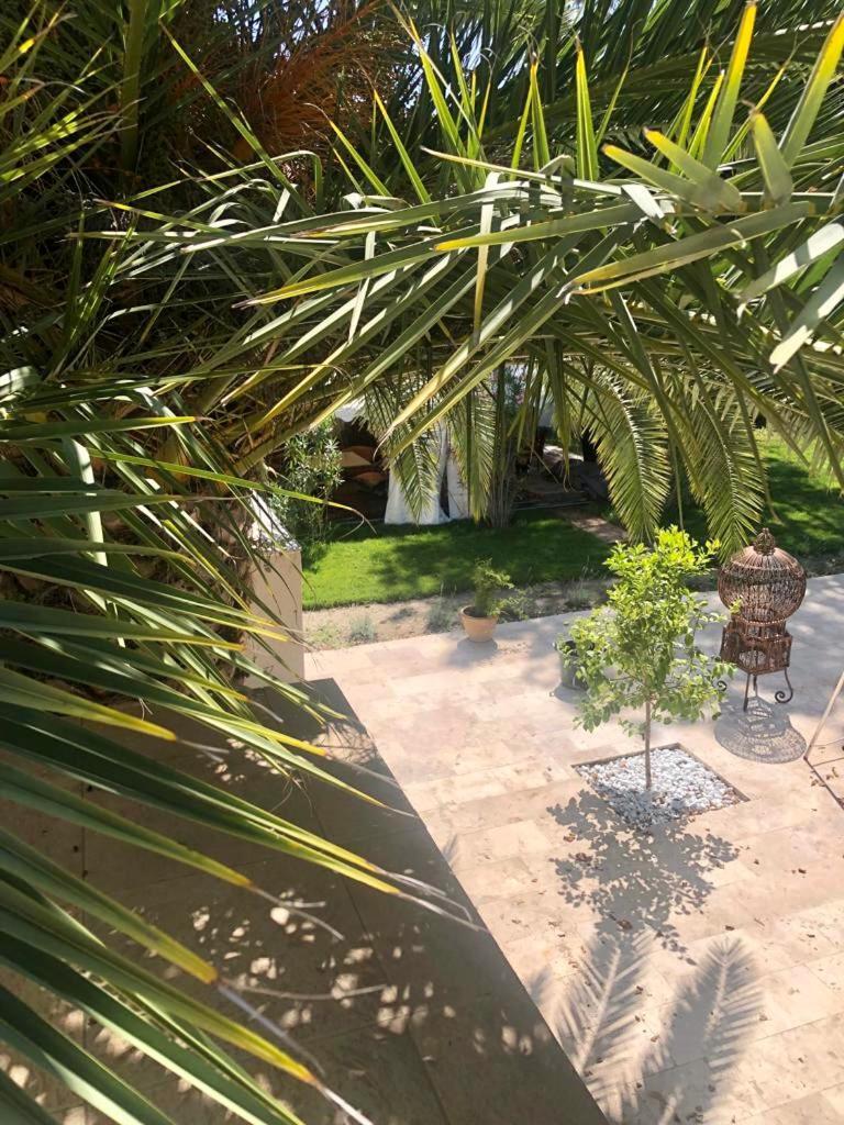 Villa Pauline Avignon Kültér fotó